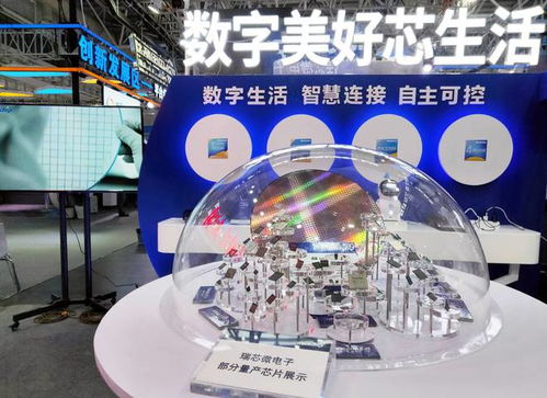 數字美好芯生活 瑞芯微助力數字中國展會的互聯網技術服務